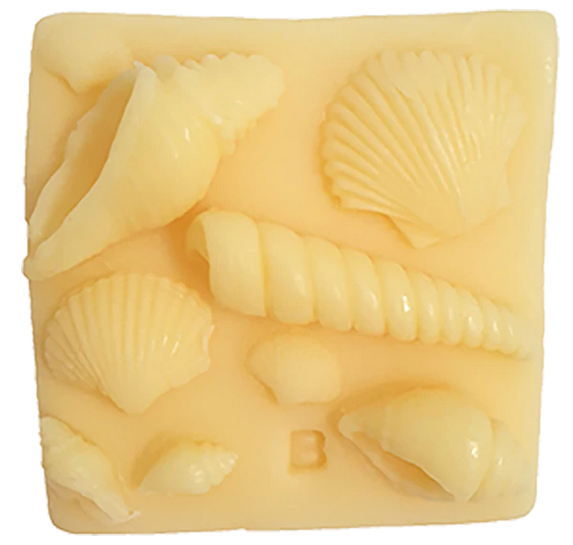 Art of Soap What the Shell