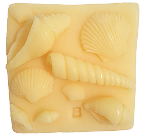 Art of Soap What the Shell