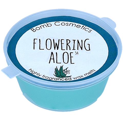 Mini Melt Flowering Aloe - Wunderoom